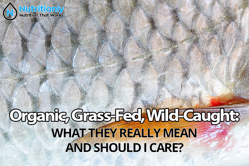 organic-grass-fed-wild-caught-what-they-really-mean-and-should-i-care