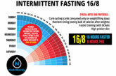 Improved Size and Strength with 16/8 Intermittent Fasting