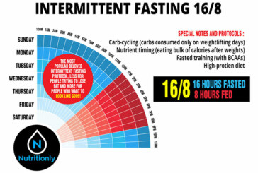 Improved Size and Strength with 16/8 Intermittent Fasting