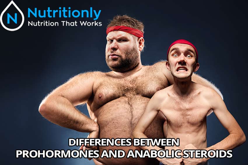 Differences Between Prohormones and Anabolic Steroids